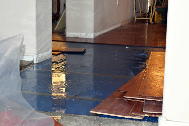 Professional Basement Water Removal technician working in Aubrey, TX