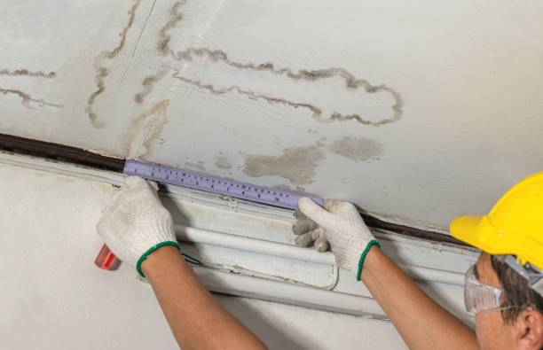 Reliable Basement Water Removal contractor in Aubrey, TX by Water Damage Irwin